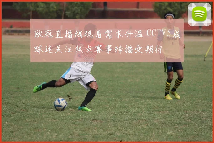 欧冠直播线观看需求升温 CCTV5成球迷关注焦点赛事转播受期待