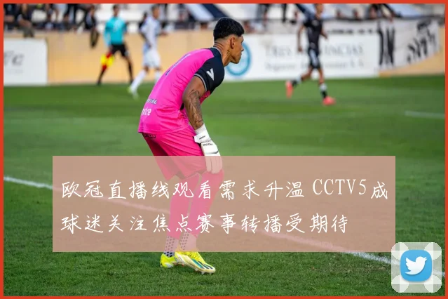 欧冠直播线观看需求升温 CCTV5成球迷关注焦点赛事转播受期待